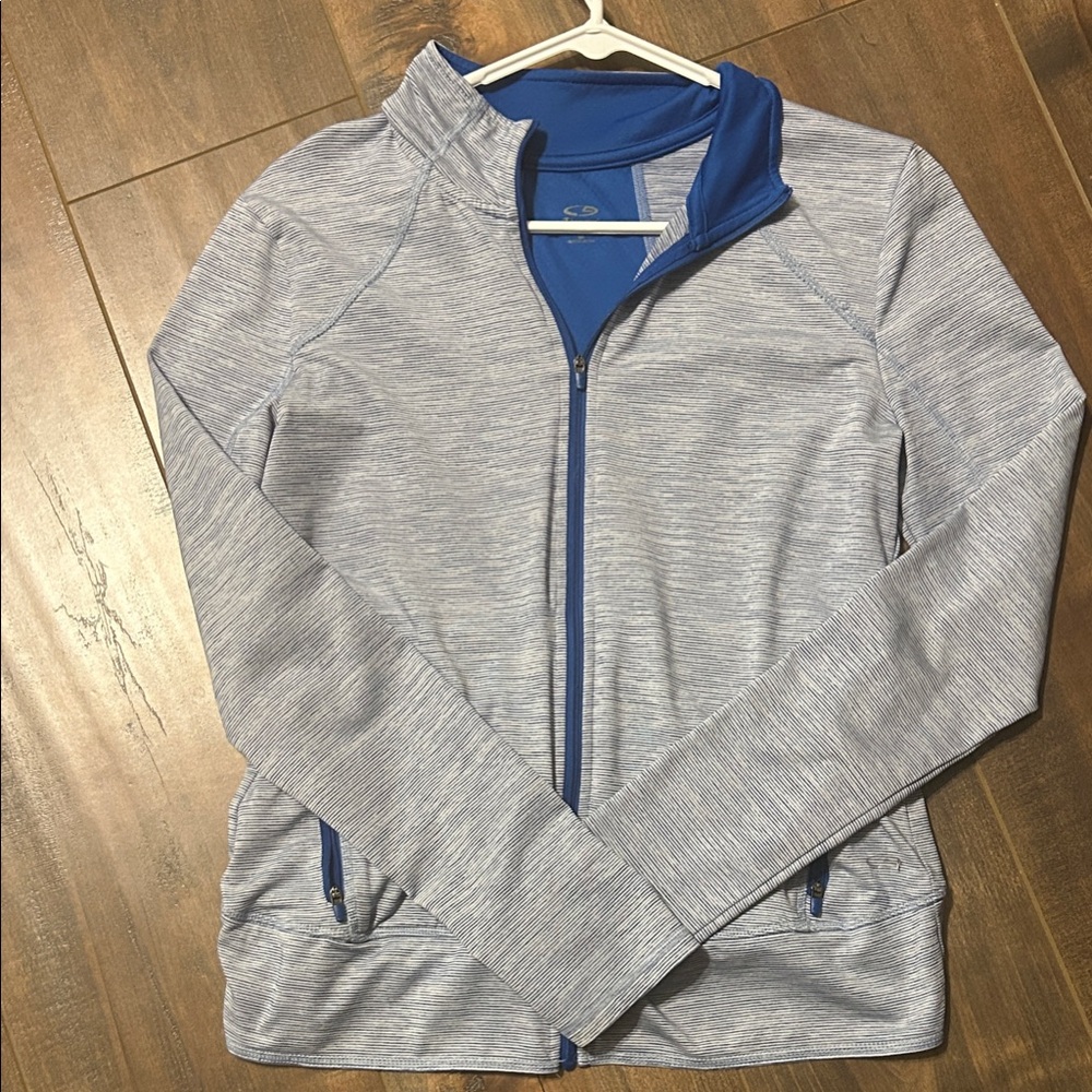 Champion Blue and Gray Women's Hoodie